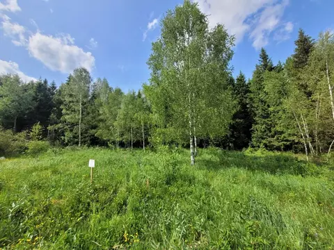 Участок в Московская область, Клин городской округ, Клинские Сады дп ...