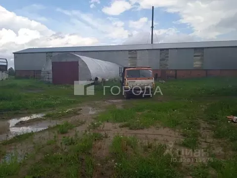 Производственное помещение в Алтайский край, Первомайский район, с. ...