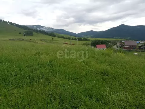 Участок в Алтай, Шебалинский район, с. Камлак  (6.0 сот.)