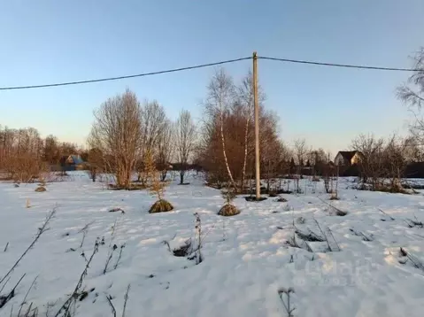 Участок в Московская область, Рузский муниципальный округ, д. Цыганово ...