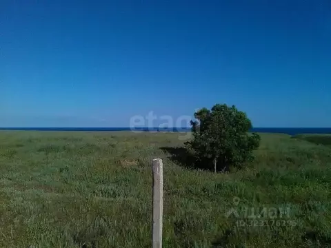 Участок в Крым, Черноморский район, с. Окуневка ул. Крупской (100.01 ...