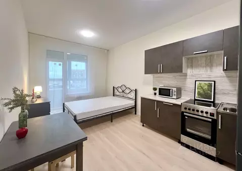 Студия Санкт-Петербург Планерная ул., 87к1 (23.0 м)