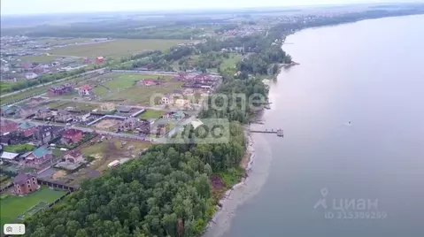 Участок в Челябинская область, Красноармейский район, Лазурненское ...
