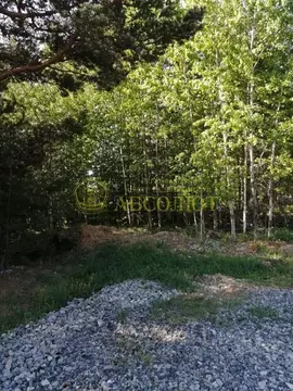 Участок в Свердловская область, Ревда муниципальный округ, пос. ...