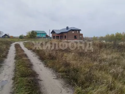 Участок в Брянская область, Брянский район, Добрунское с/пос, д. ...