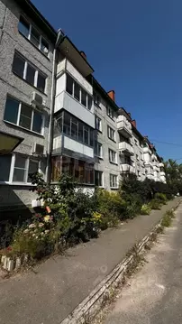 2-к кв. Воронежская область, с. Новая Усмань ул. Центральная, 3 (54.6 ...
