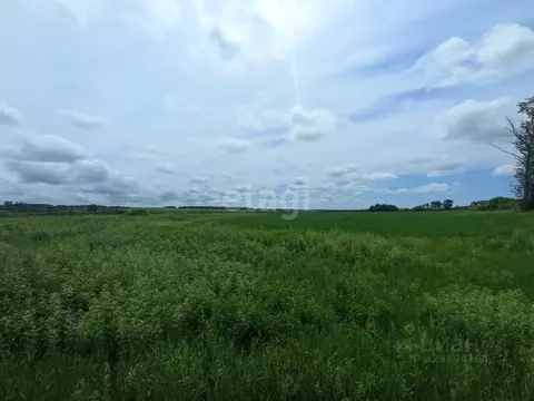 Участок в Амурская область, Благовещенск Рассвет СТ, 78 (6.2 сот.)