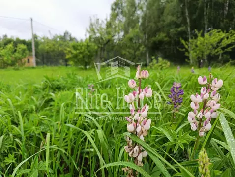 Участок в Калужская область, Ферзиковский район, Бебелевский ...