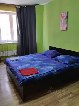 Студия Московская область, Котельники ул. Строителей, 5 (24.0 м)