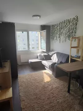 1-к кв. Санкт-Петербург дор. Муринская, 29 (21.0 м)