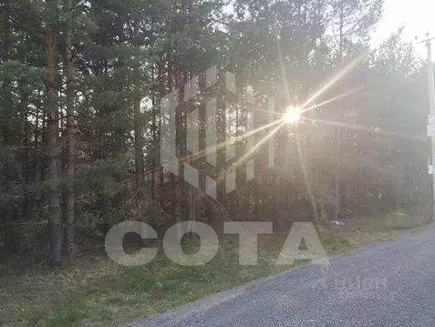 Участок в Воронежская область, Рамонский район, Айдаровское с/пос, с. ...
