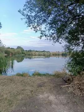 Участок в Курская область, Курский район, Лебяженский сельсовет, д. ...