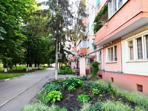 3-к кв. Белгородская область, Строитель Яковлевский городской округ, ...