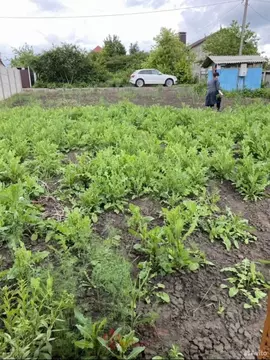 Участок в Белгородская область, Белгородский район, Дубовское с/пос, ...
