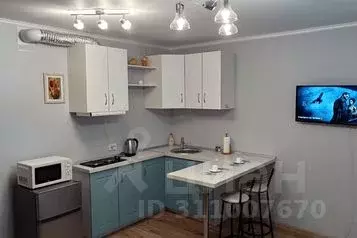 1-к кв. Челябинская область, Челябинск Набережная ул., 3Б (27.0 м)