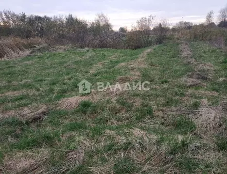 Участок в Калининградская область, Зеленоградский муниципальный округ, ...