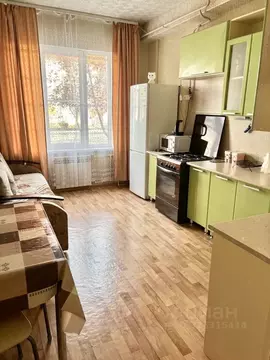 1-к кв. Пензенская область, Пензенский район, Засечный сельсовет, с. ...