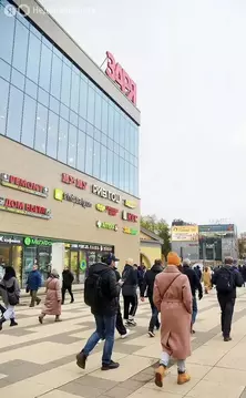 Помещение свободного назначения (7290 м)