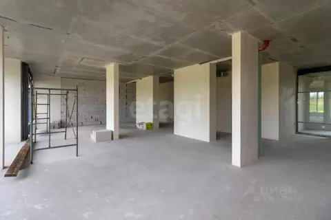 Помещение свободного назначения в Тюменская область, Тюмень ул. Павла ...