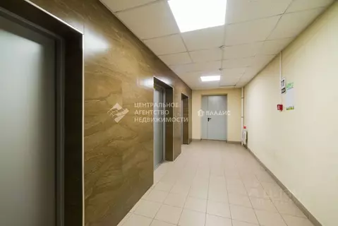 Студия Рязанская область, Рязань ул. Стройкова, 51 (29.8 м)