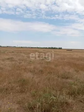 Участок в Крым, Сакский район, с. Добрушино  (11.0 сот.)