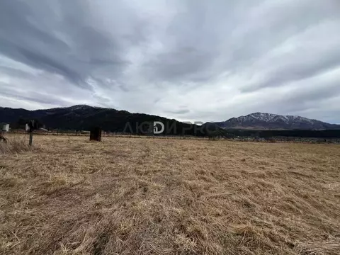 Участок в Алтай, Чемальский район, Радуга Жизни СНТ  (13.0 сот.)