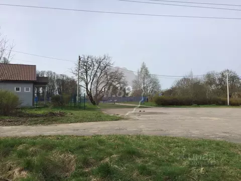 Участок в Калининградская область, Багратионовский муниципальный ...