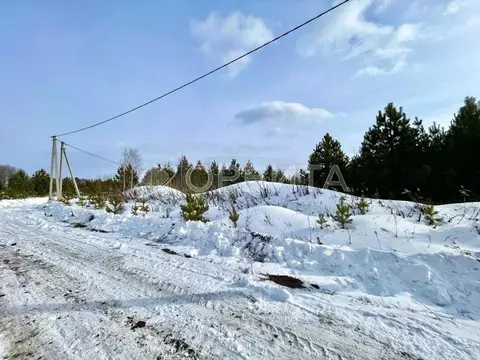 Участок в Тюменская область, Нижнетавдинский район, д. Московка 1-я ...