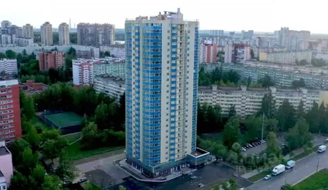 Студия Санкт-Петербург ул. Прокофьева, 7к2 (31.4 м)