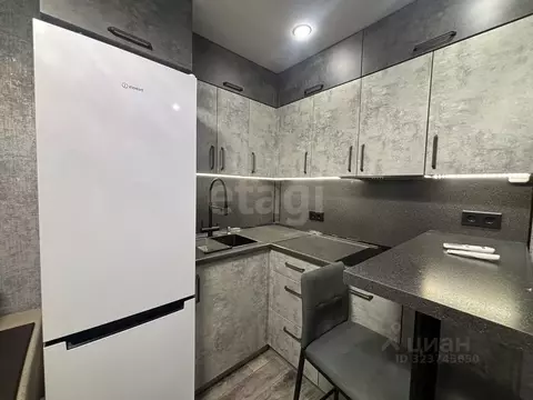 Студия Тюменская область, Тюмень ул. Новоселов, 109 (24.0 м)