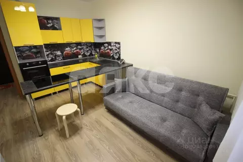 Студия Московская область, Воскресенск ул. Ломоносова, 119к2 (23.0 м)