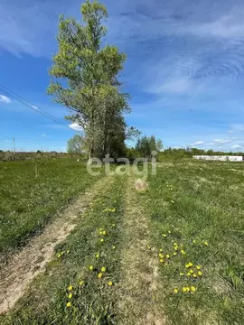 Участок в Калужская область, Бабынинский муниципальный округ, ...