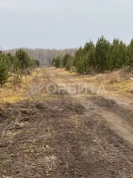 Участок в Тюменская область, Тюменский муниципальный округ, с. ...