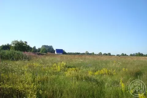 Участок в Ленинградская область, Выборгский район, Красносельское ...