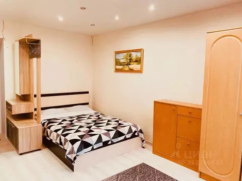 Студия Рязанская область, Рязань ул. Семчинская, 11к2 (25.0 м)