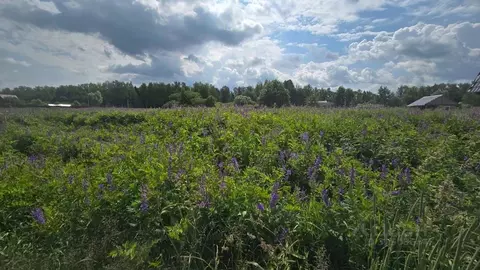 Участок в Московская область, Ступино городской округ, д. Игнатьево  ...