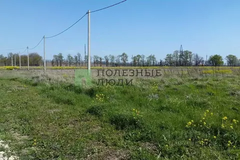 Участок в Крым, Симферопольский район, Николаевка пгт ул. Советская ...