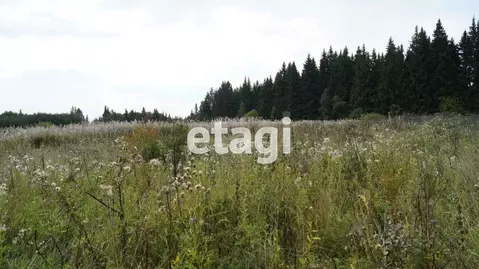 Участок в Свердловская область, Тугулымский муниципальный округ, пос. ...