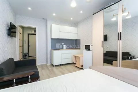 Студия Новосибирская область, Новосибирск ул. Забалуева, 102/2 (21.0 ...