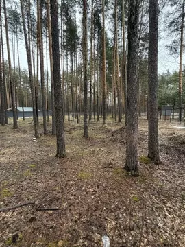 Участок в Владимирская область, Судогодский муниципальный округ, пос. ...