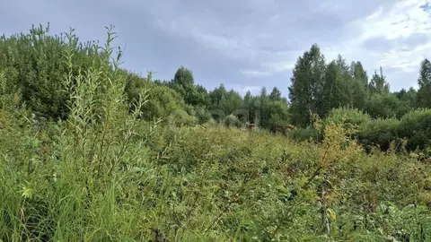Участок в Алтай, Майминский район, Манжерокское с/пос, с. Озерное  ...