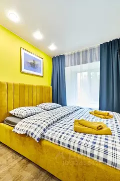 Студия Санкт-Петербург Невский просп., 142 (23.0 м)