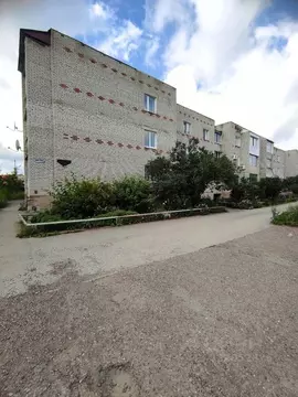 3-к кв. Пермский край, Кунгур ул. Космонавтов, 3А (68.7 м)