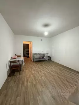 Студия Санкт-Петербург пос. Шушары, просп. Новгородский, 2к3 (25.3 м)