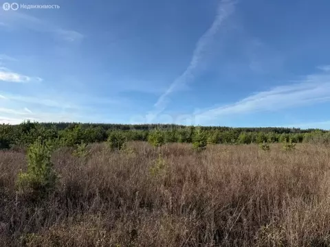 Участок в муниципальное образование Новосельское, деревня Черноситово ...