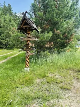 Дом в Пензенская область, Лунинский район, с. Большой Вьяс ул. ...