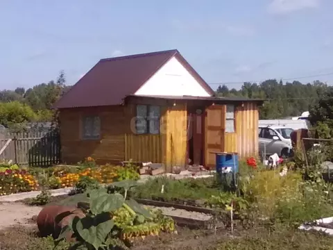 Дом в Новосибирская область, Тогучинский район, Ветеран СНТ  (24 м)