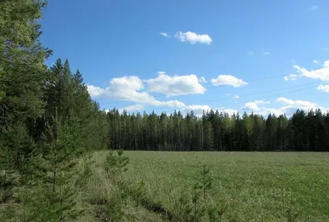 Участок в Свердловская область, Сысертский муниципальный округ, с. ...
