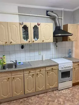 1-к кв. Омская область, Омск ул. Масленникова, 45 (39.1 м)