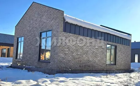 Дом в Новосибирская область, Новосибирский район, Станционный ...